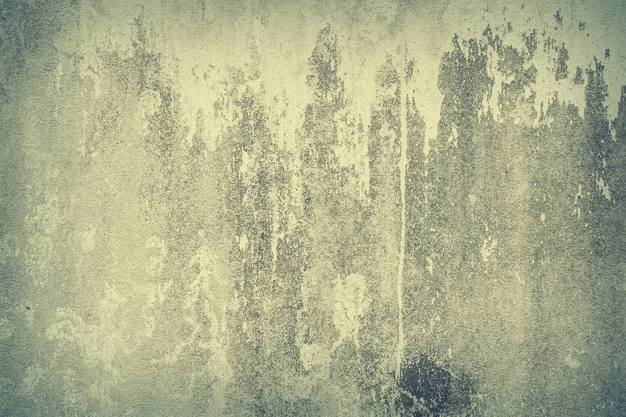 Tynki elewacyjne: mineralne, silikonowe, silikatowe czy akrylowe – co wybrać